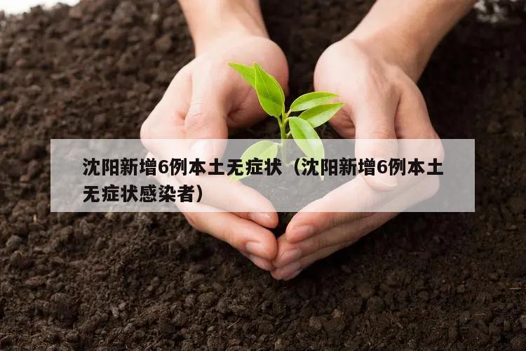 沈阳新增6例本土无症状(沈阳新增6例本土无症状感染者)