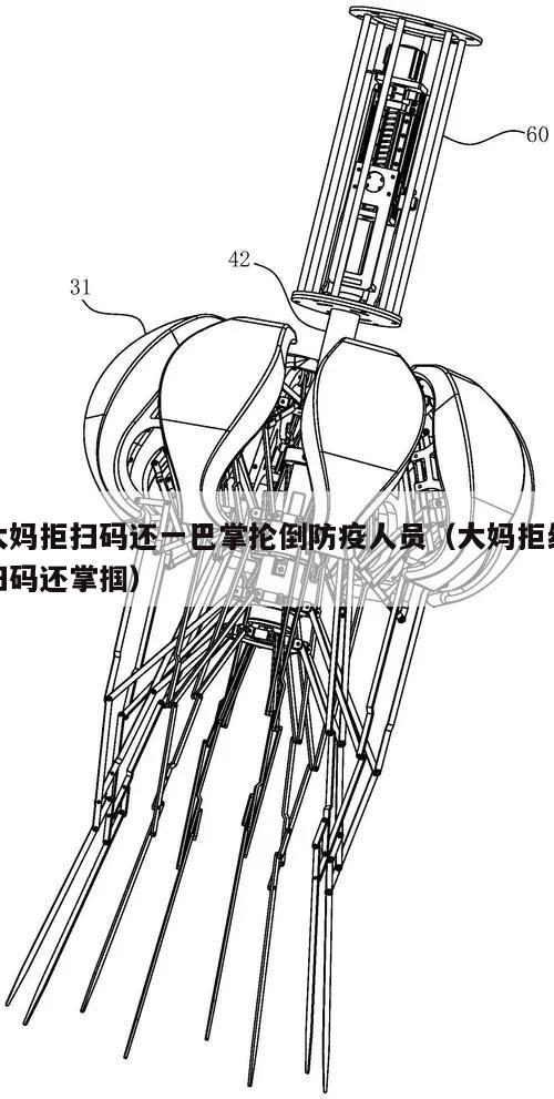 大妈拒扫码还一巴掌抡倒防疫人员(大妈拒绝扫码还掌掴)