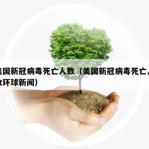 美国新冠病毒死亡人数(美国新冠病毒死亡人数环球新闻)